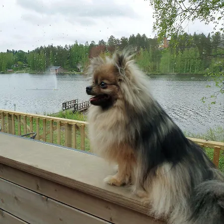 Campingplads Mansikkaharju Camp