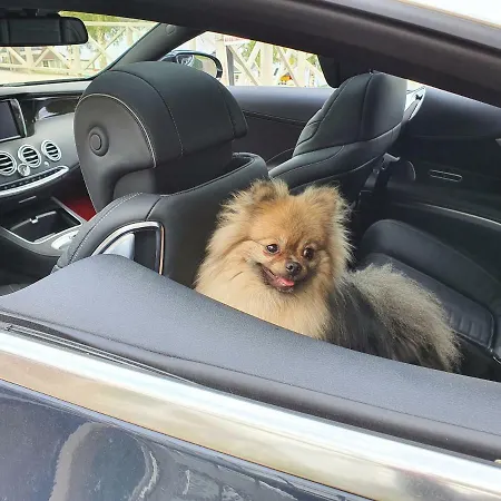 Campingplads Mansikkaharju Camp