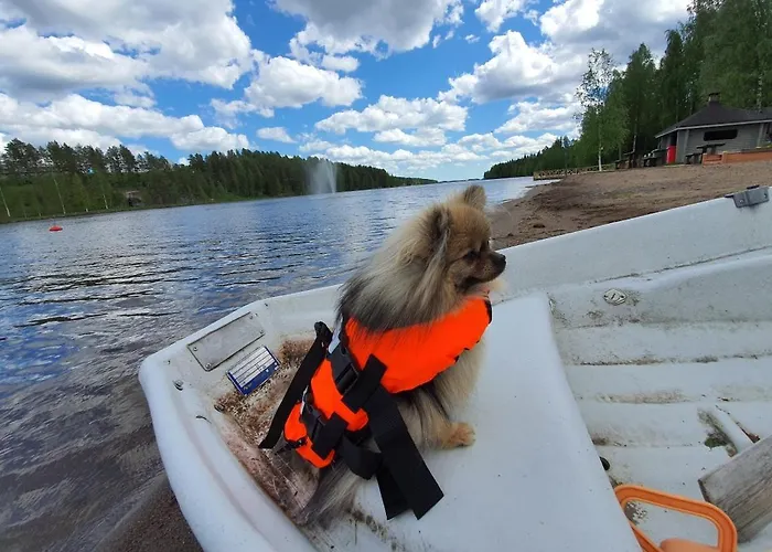 Mansikkaharju Holiday Camp Leppävirta