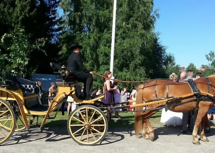 Mansikkaharju Camp 2* Леппявирта