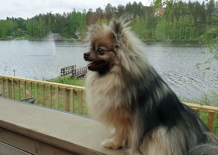 مكان تخييم Mansikkaharju Holiday Camp