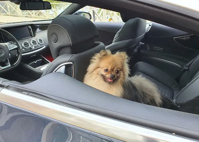 Кемпинг Mansikkaharju Camp